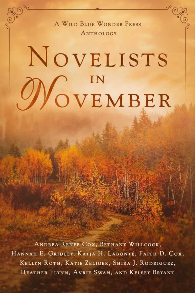 Novelists in November cover 01