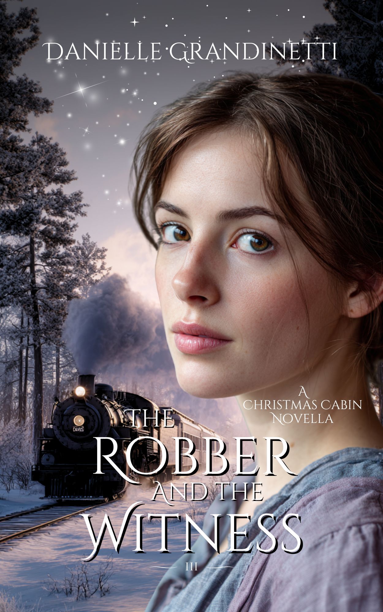 Christmas Cabin - Book 3 - The Robber and the Witness Christmas Cabin - Book 3 - The Robber and the Witness